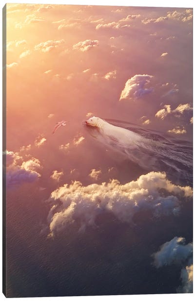 Polar Bear Sky Reverie Canvas Art Print - Gentle Giants