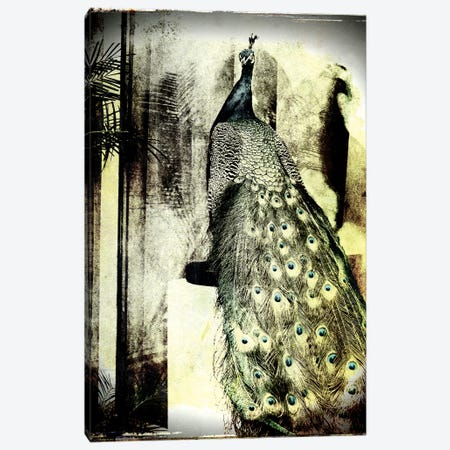 Feathers In Peace Canvas Print #SOE8} by Sophie Etchart Canvas Art