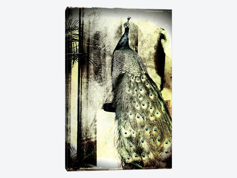 Feathers In Peace by Sophie Etchart 1-piece Canvas Art