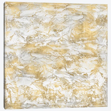 Textural With Gold III Canvas Print #SOF3} by Sofia Gordon Canvas Print