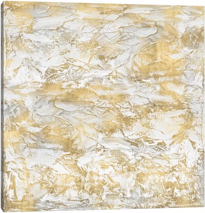 Textural With Gold III Canvas Art Print