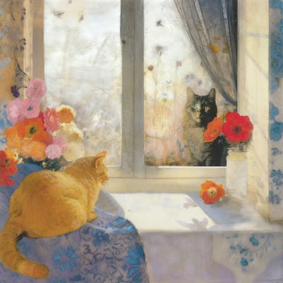 In The Sun On The Sill - Shadow And Feathers by Somnmigratory Studio canvas print