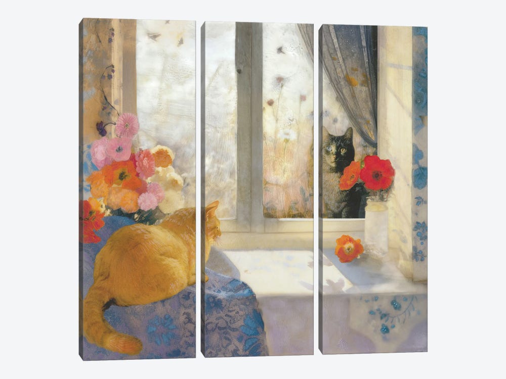 In The Sun On The Sill - Shadow And Feathers by Somnmigratory Studio 3-piece Canvas Art Print