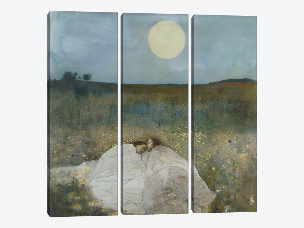 Summer Night On Firefly Hill by Somnmigratory Studio 3-piece Canvas Artwork