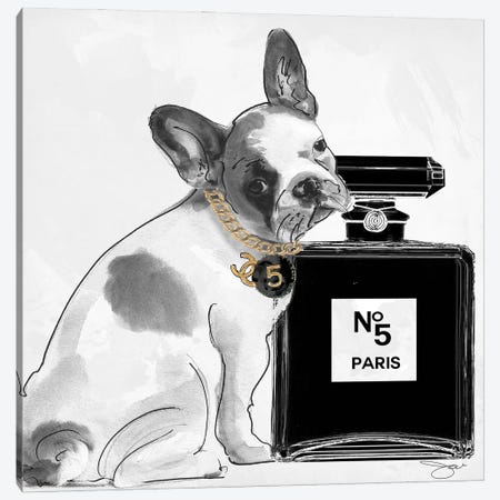 Dog V Canvas Print #SOJ117} by Studio One Canvas Art