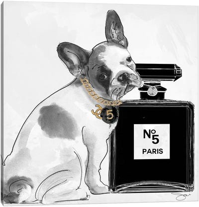 Dog V Canvas Art Print - French Bulldog Art