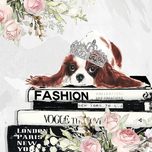 Vogue: So Cavalier by Studio One