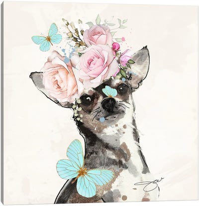 Chi In Bloom Canvas Art Print - Chihuahua Art