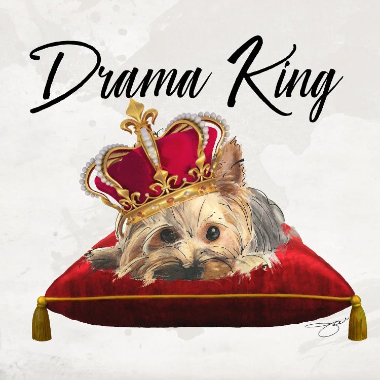 King Yorkie