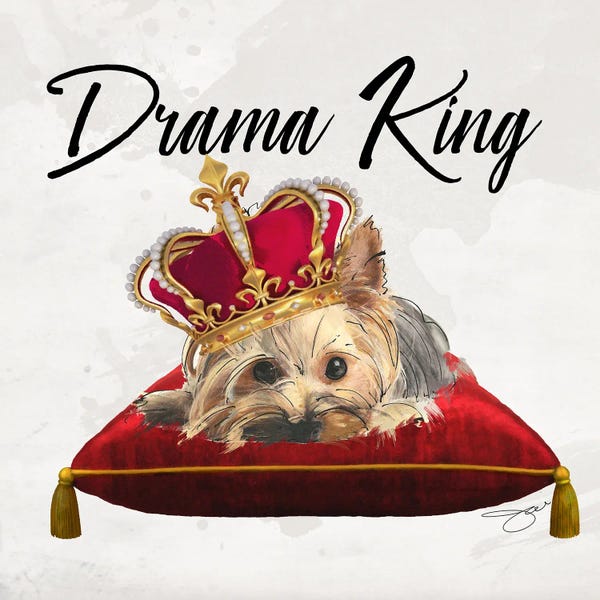 Terriers: King Yorkie by Studio One
