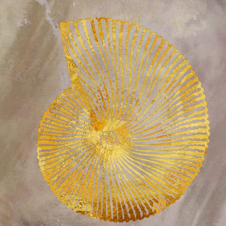 Shell I by Studio One wall art