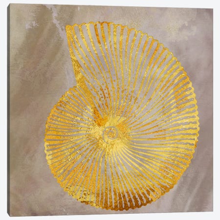 Shell I Canvas Print #SOJ145} by Studio One Canvas Art Print