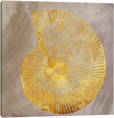 Shell I Canvas Art Print