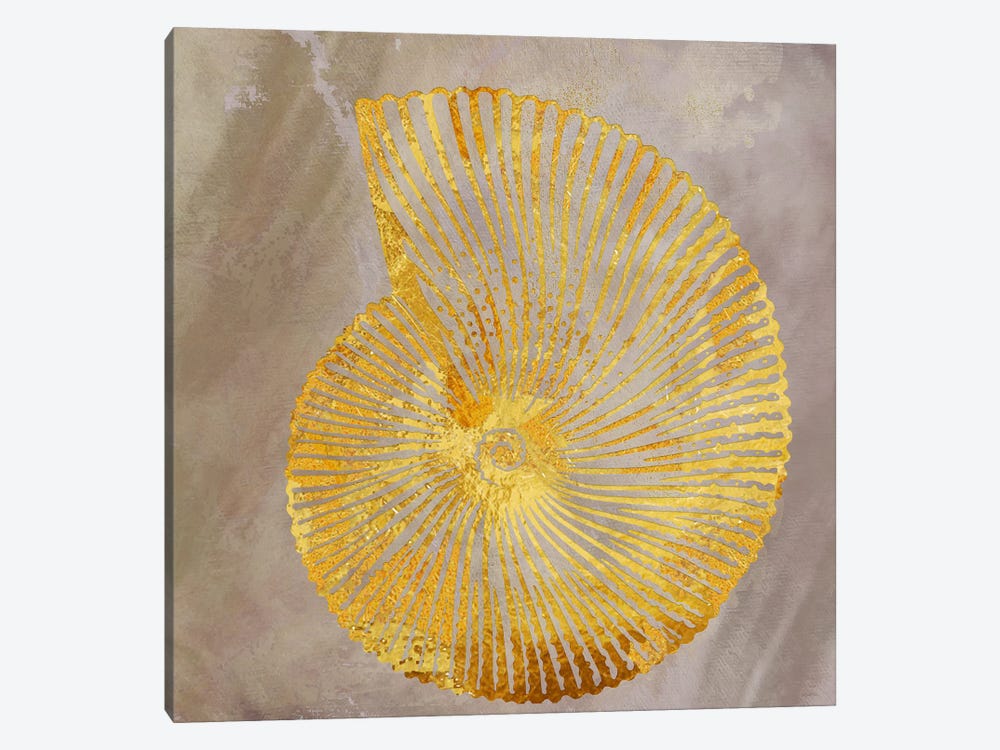 Shell I by Studio One 1-piece Canvas Artwork