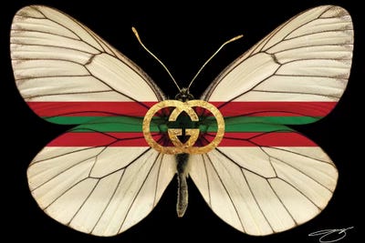 gucci fly logo