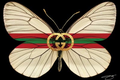 gucci logo fly