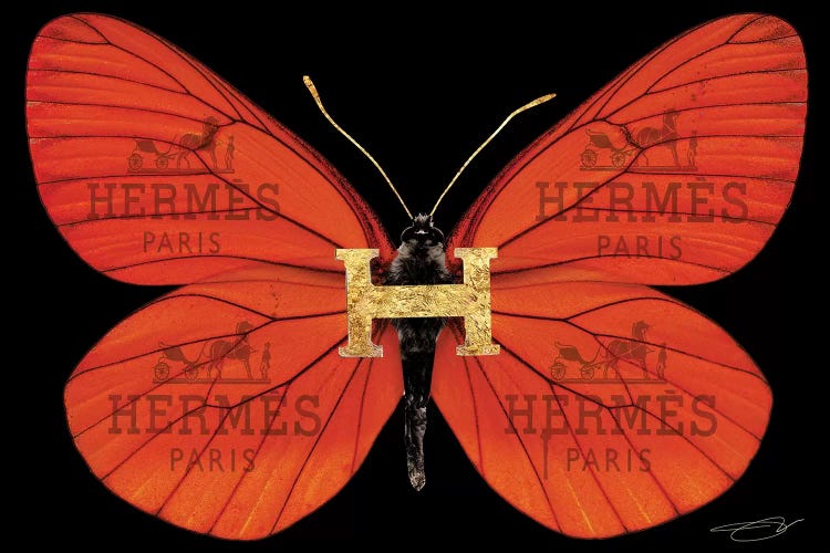 Fly As Hermes