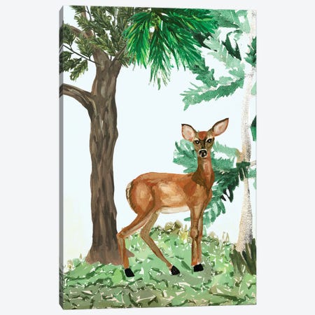 Doe, A Deer Canvas Print #SOK4} by Patti Sokol Canvas Print