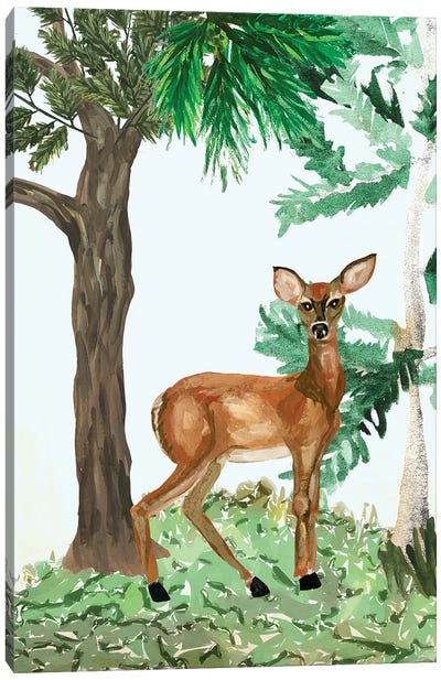 Doe, A Deer Canvas Art Print