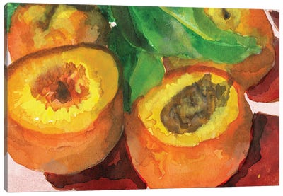 Nectarines Canvas Art Print