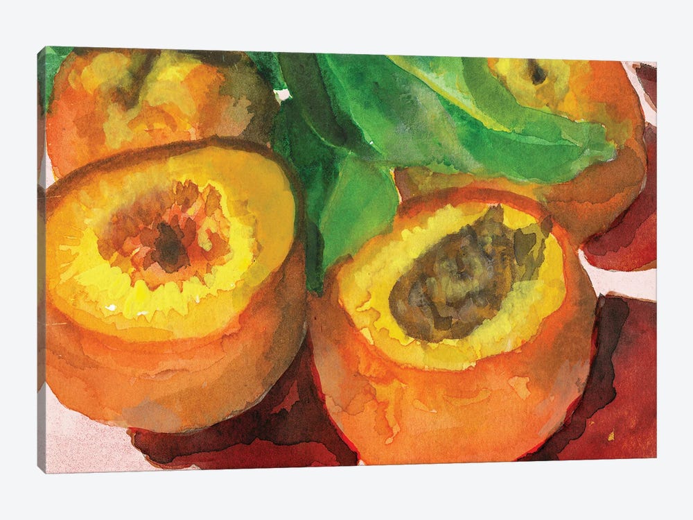 Nectarines by Patti Sokol 1-piece Canvas Art
