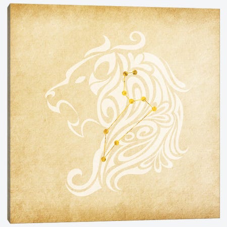 Influential Lion with Constellation Canvas Print #SOL11} by 5by5collective Canvas Art