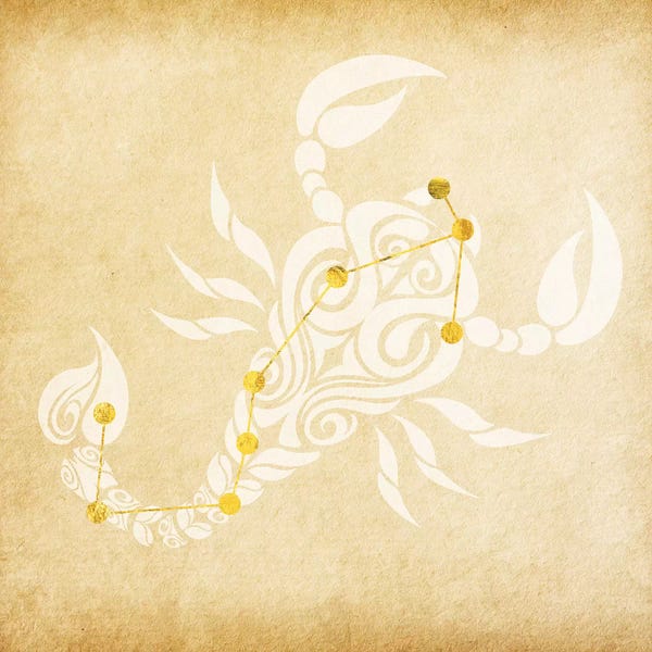 Scorpions: Passionate Scorpion with Constellation by 5by5collective