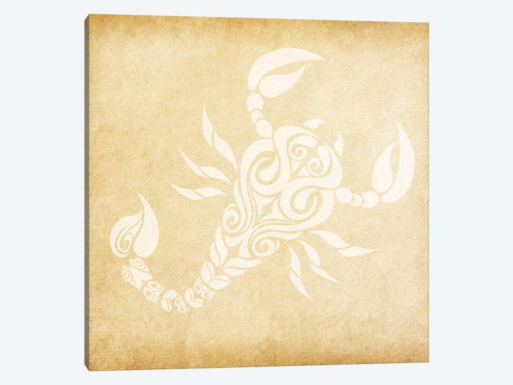 Passionate Scorpion by 5by5collective 1-piece Canvas Artwork