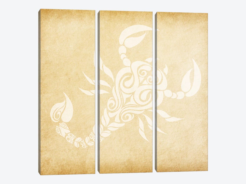 Passionate Scorpion by 5by5collective 3-piece Canvas Artwork