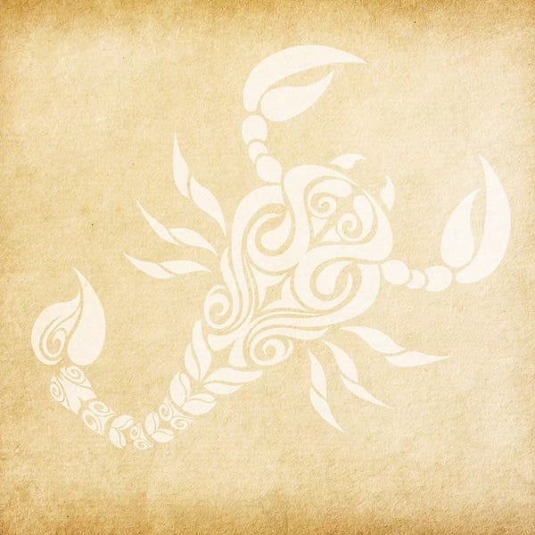 Scorpions: Passionate Scorpion by 5by5collective