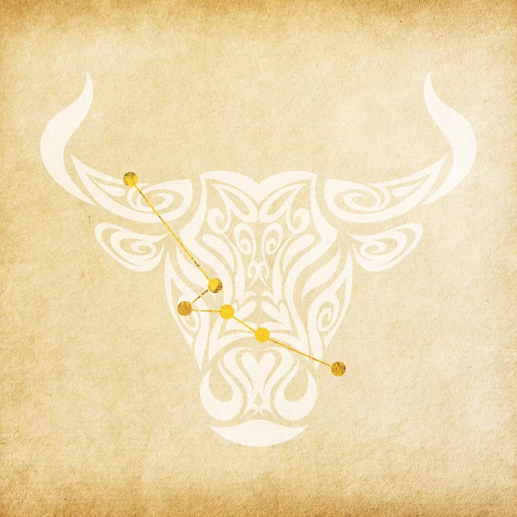 Reliable Bull with Constellation