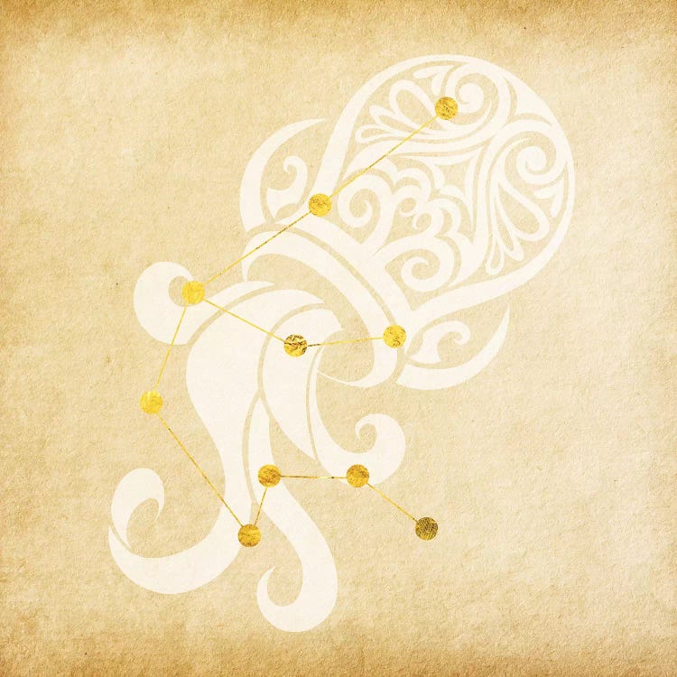 Witty Water-Bearer with Constellation by 5by5collective wall art