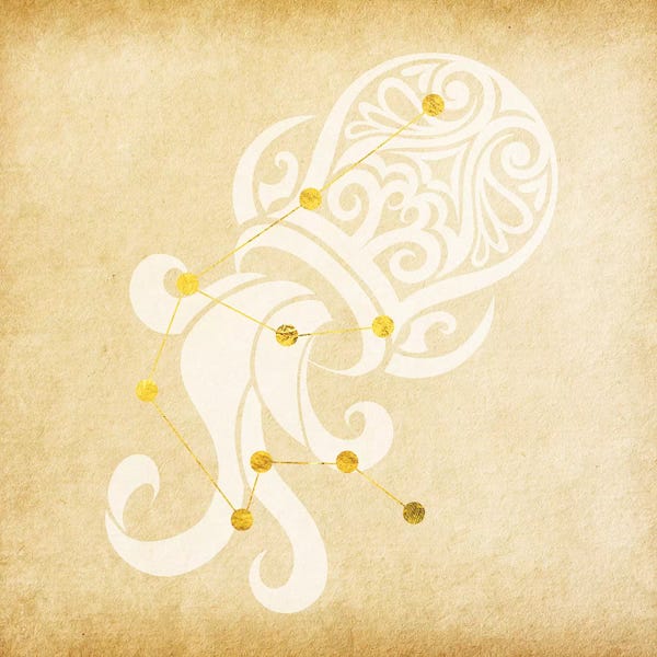Witty Water-Bearer with Constellation