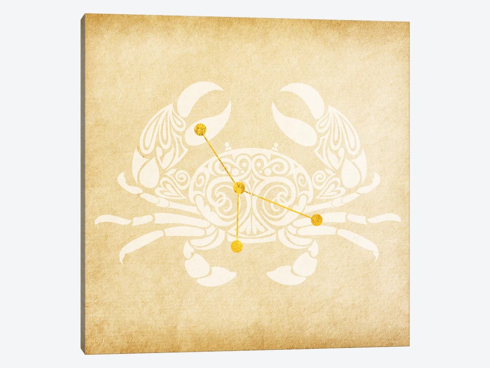 Caring Shellfish with Constellation by 5by5collective 1-piece Canvas Art