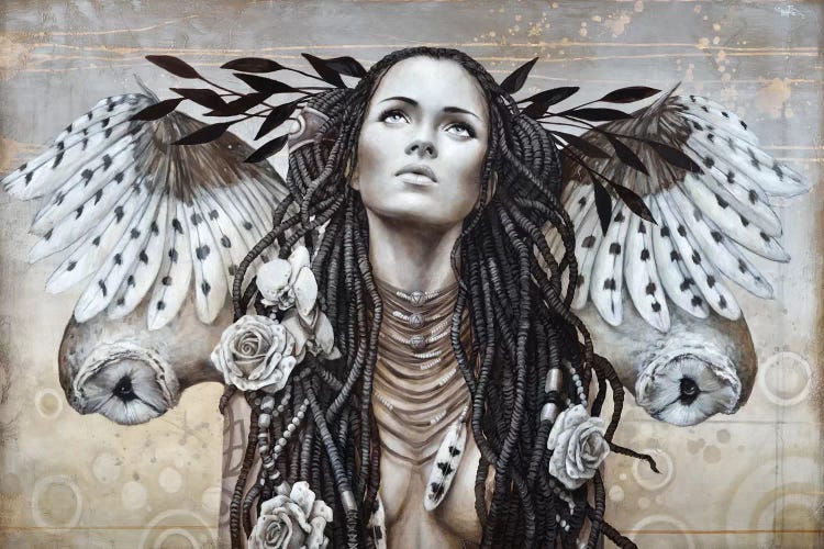 Plumes de Nuage (Cloud Of Feathers) by Sophie Wilkins wall art