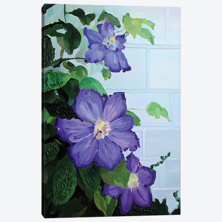 Clematis Flowers Along A Brick Wall Canvas Print #SOV102} by Svetlana Saratova Canvas Art Print