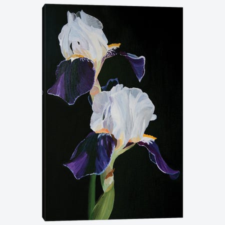 Iris On A Black Background Canvas Print #SOV103} by Svetlana Saratova Art Print