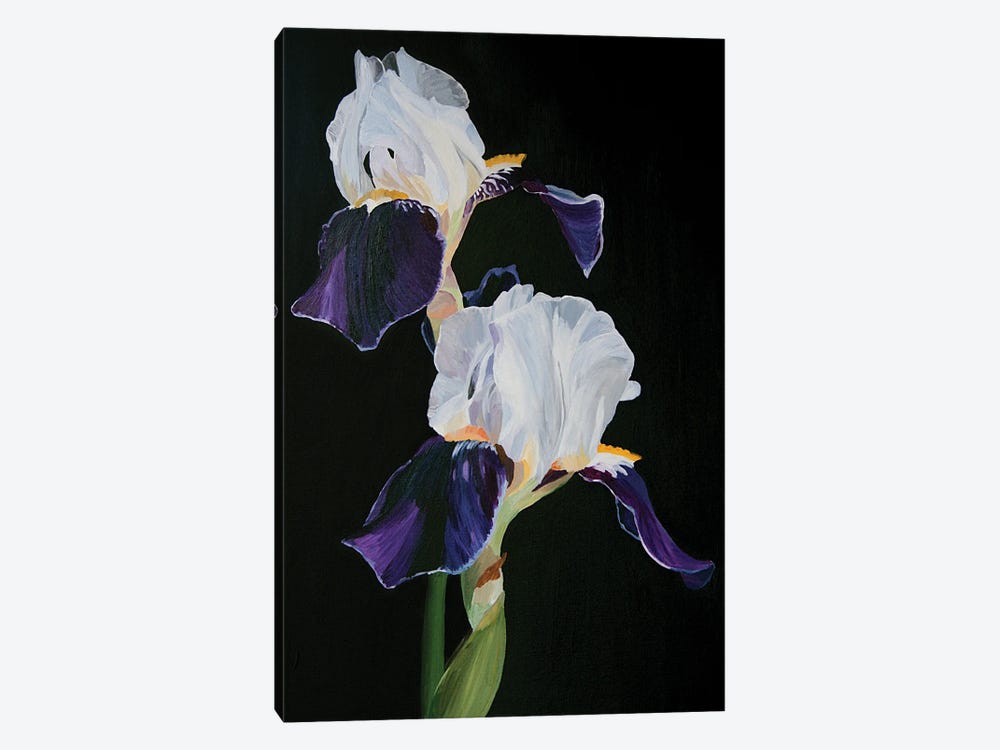 Iris On A Black Background by Svetlana Saratova 1-piece Canvas Print