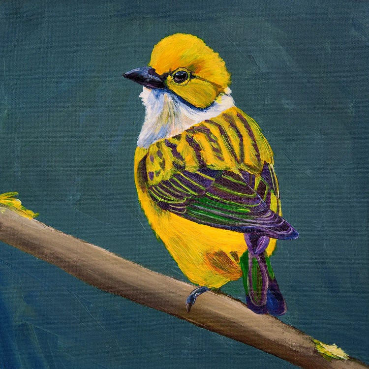 Yellow Bird On A Dark Green Background