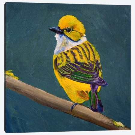 Yellow Bird On A Dark Green Background Canvas Print #SOV128} by Svetlana Saratova Canvas Art Print