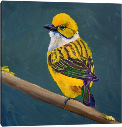 Yellow Bird On A Dark Green Background Canvas Art Print - Svetlana Saratova