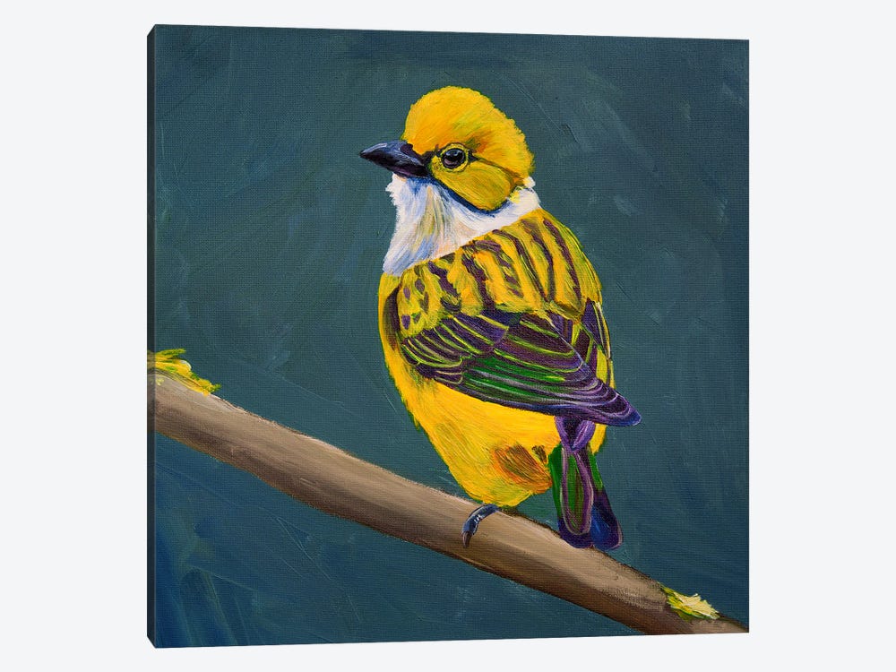 Yellow Bird On A Dark Green Background by Svetlana Saratova 1-piece Canvas Art