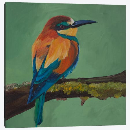 Colored Bird Canvas Print #SOV129} by Svetlana Saratova Art Print
