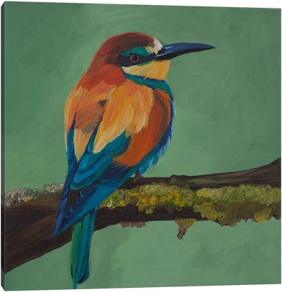 Colored Bird Canvas Art Print - Green Art