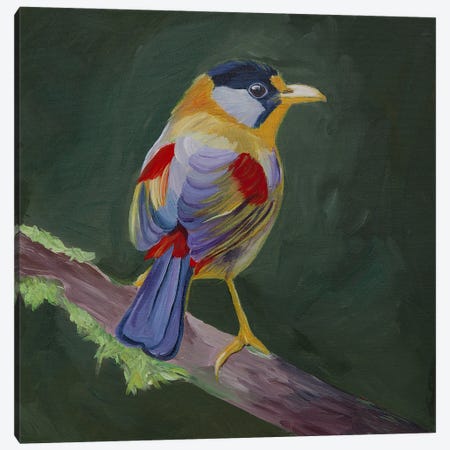Colored Bird On A Dark Green Background. Canvas Print #SOV130} by Svetlana Saratova Canvas Artwork