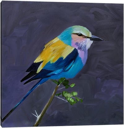 Beautiful Bird On A Lilac Background Canvas Art Print - Svetlana Saratova