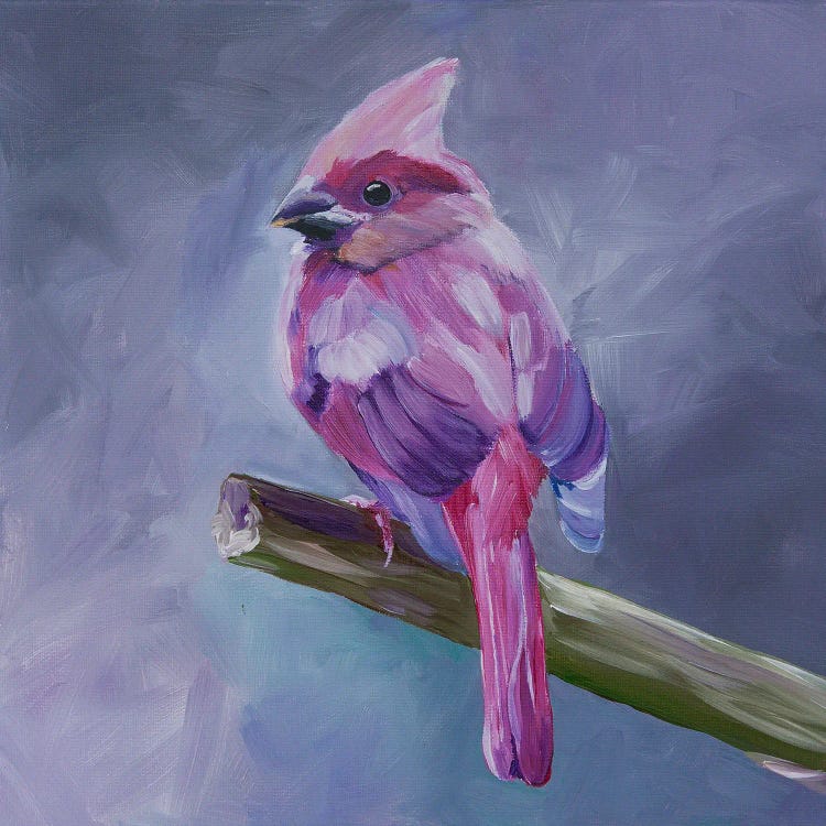 Pink, Delicate Bird