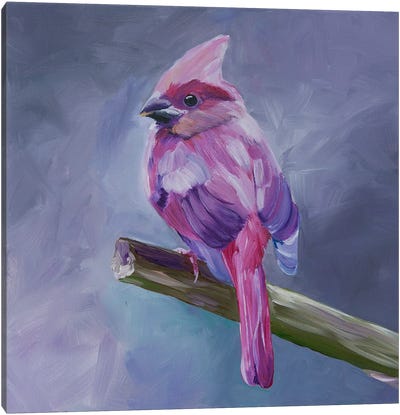 Pink, Delicate Bird Canvas Art Print - Blue Art