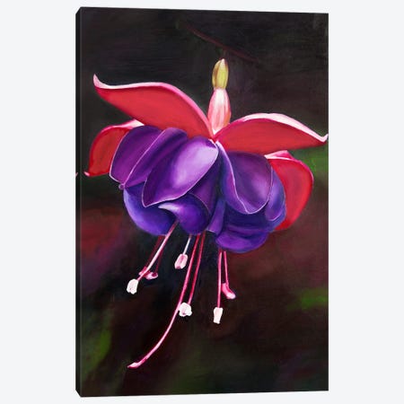 Purple Fuchsia Flower Canvas Print #SOV133} by Svetlana Saratova Canvas Art