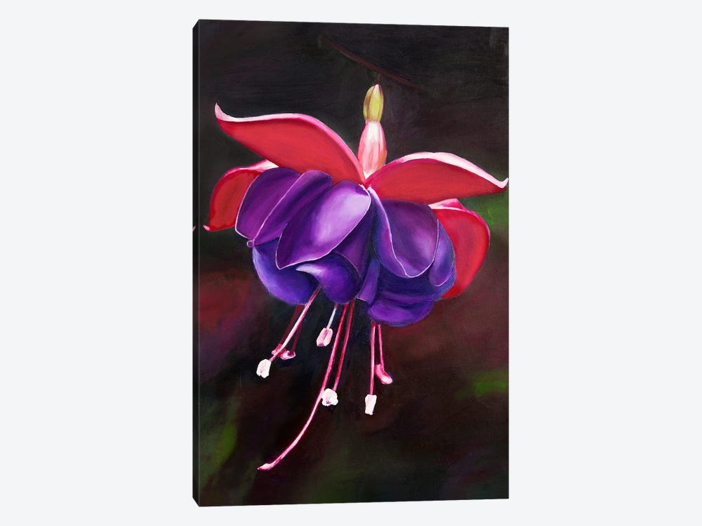 Purple Fuchsia Flower by Svetlana Saratova 1-piece Canvas Artwork